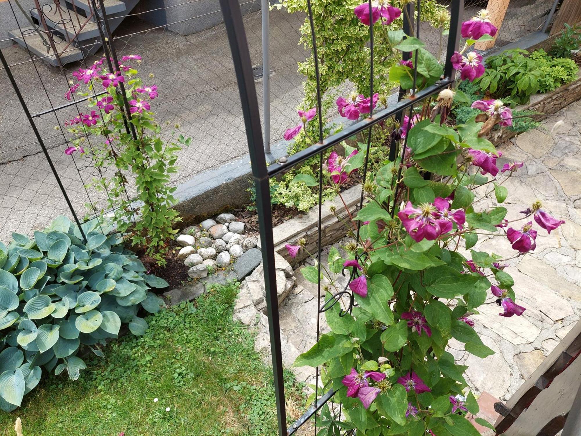 Wohnung Mit Charme In Pinsdorf Экстерьер фото