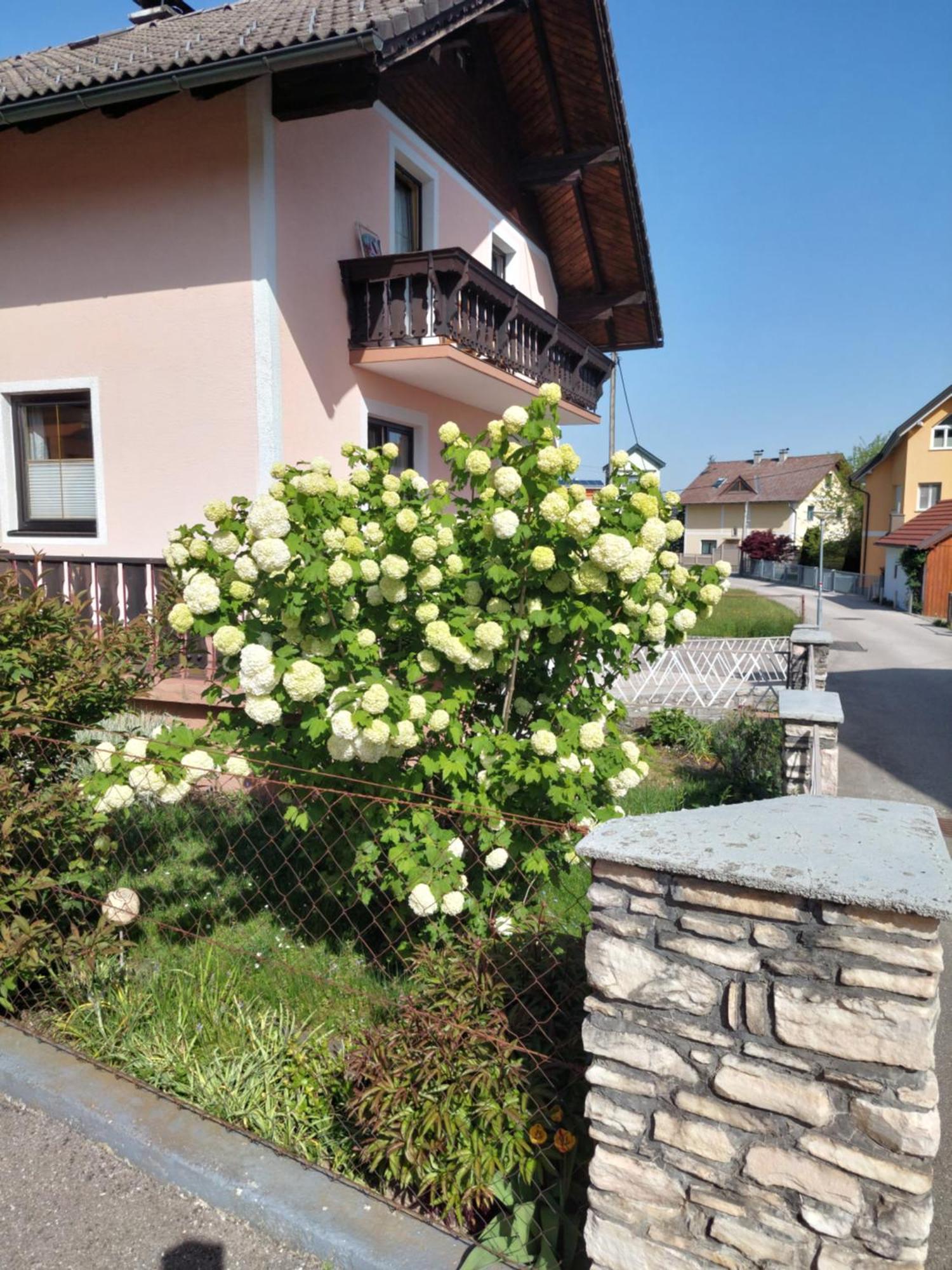 Wohnung Mit Charme In Pinsdorf Экстерьер фото